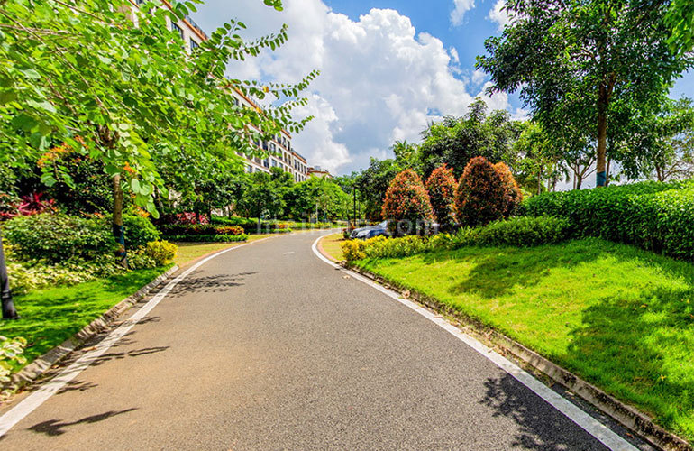 首创森林湖实景图