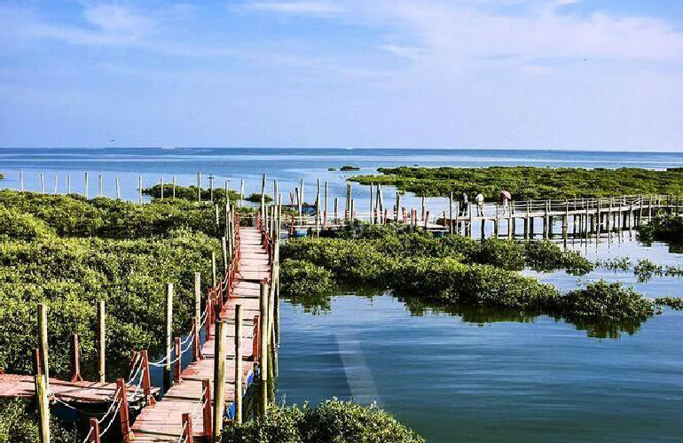 北海61云星海景台在售