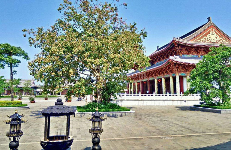 南海之滨周边配套：永庆寺