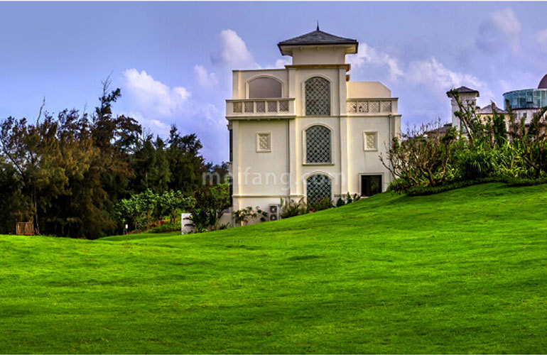 世茂怒放海实景图