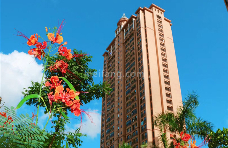 君和君泰实景图