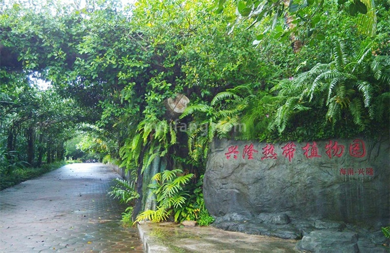 宝安兴隆椰林湾