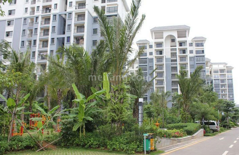 宝安兴隆椰林湾实景图