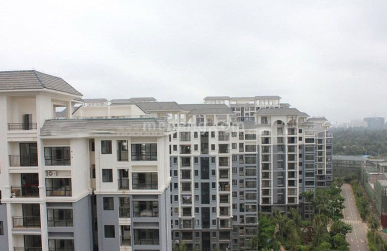 宝安兴隆椰林湾实景图