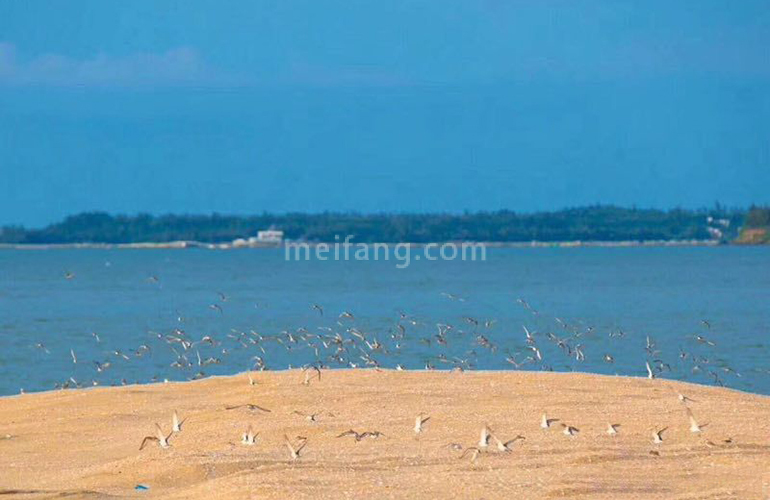 恒大御海天下实景图