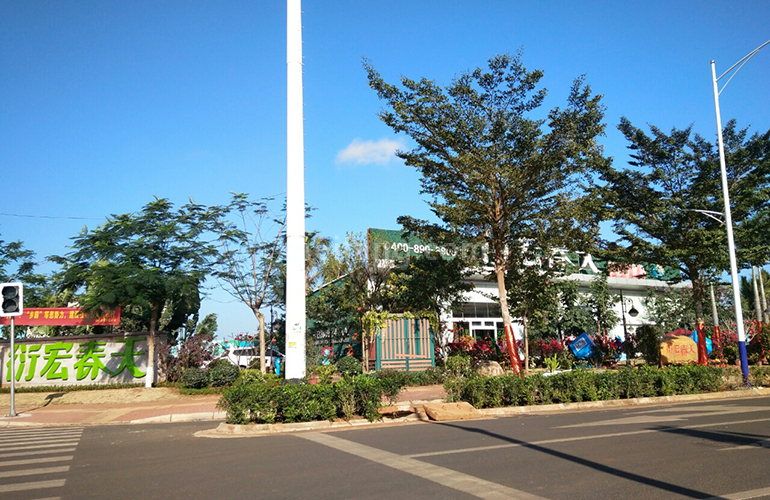 衍宏春天实景图