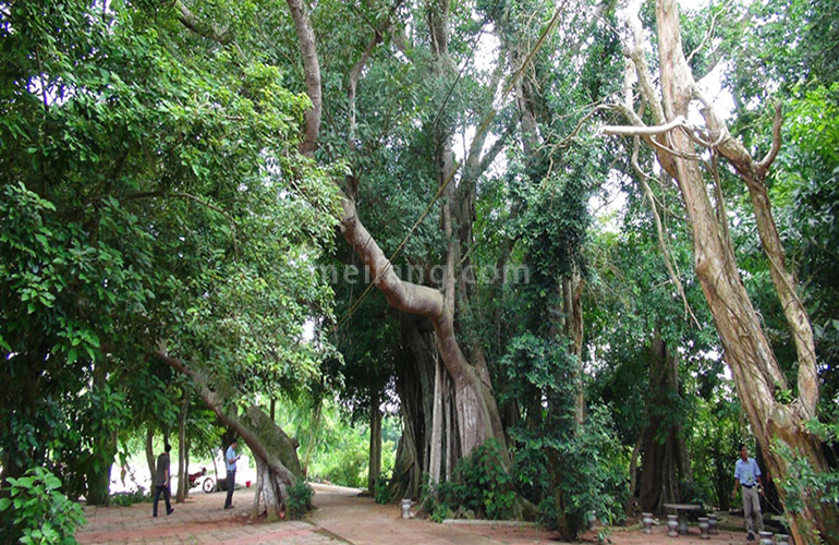 恒泰琉金岁月配套图