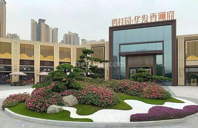 碧桂园华发香洲府