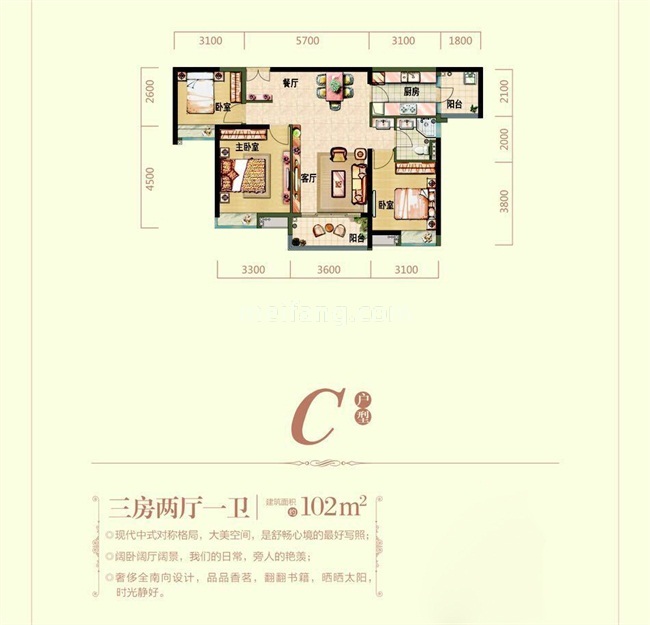 C户型 三房两厅
