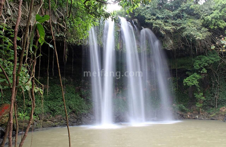 清凤黄金海岸配套图