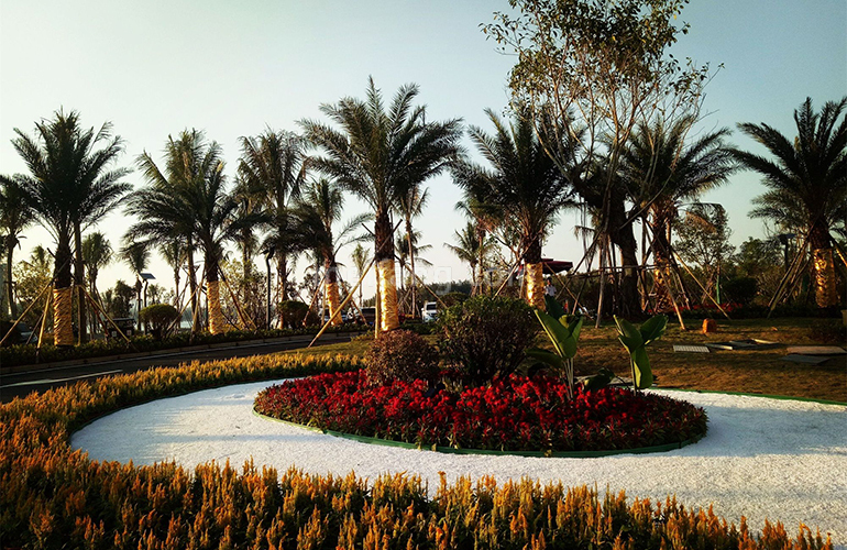 清凤黄金海岸实景图