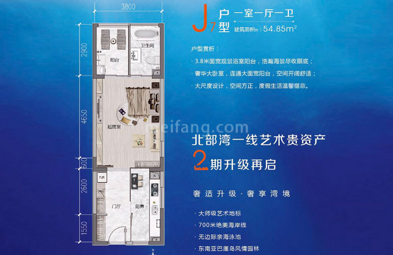 高层 J7户型 1室1厅1卫 建面55㎡
