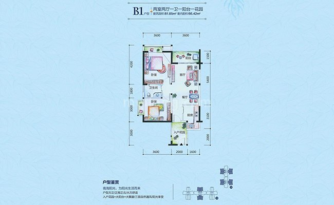 高层 B1户型 2室2厅1厨1卫 建面81㎡