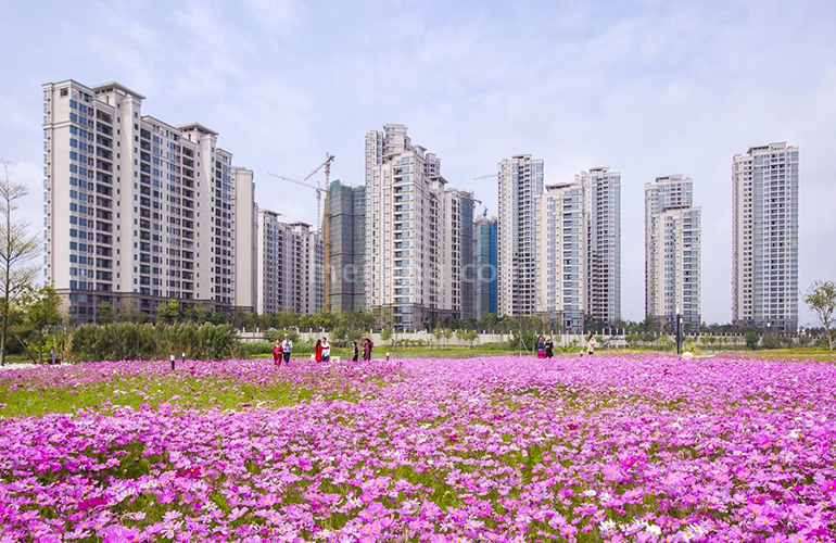 华发又一城9期实景图