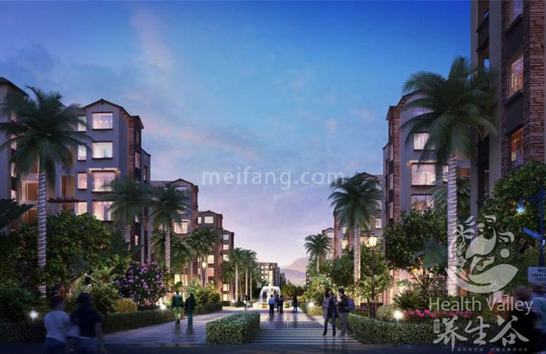 爱克养生谷效果图