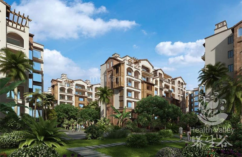 爱克养生谷效果图