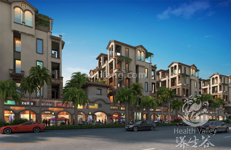 爱克养生谷效果图