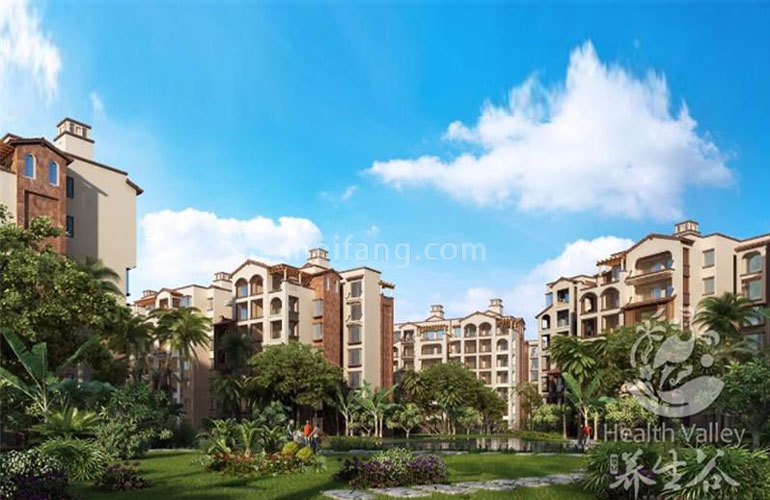 爱克养生谷效果图