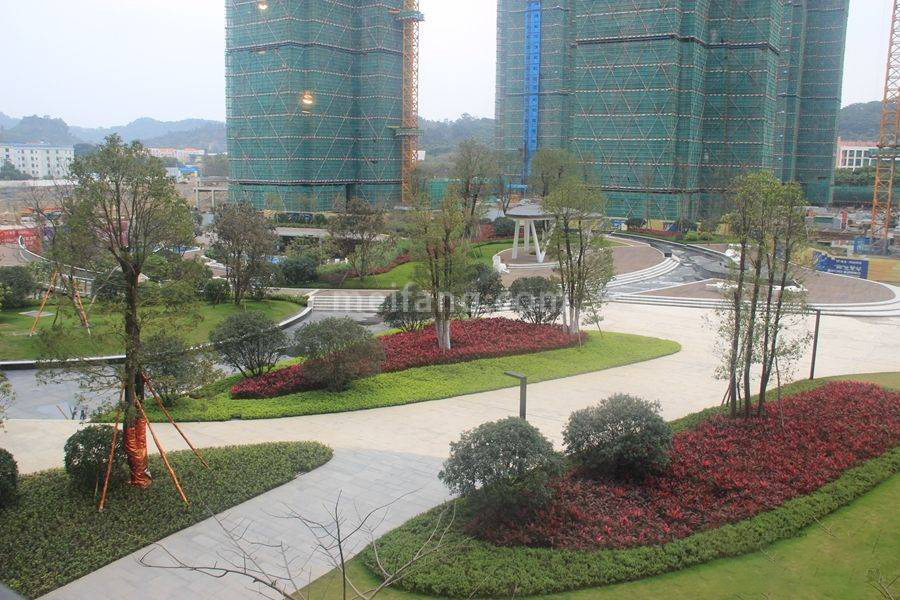 滨海花园商铺越先生的街