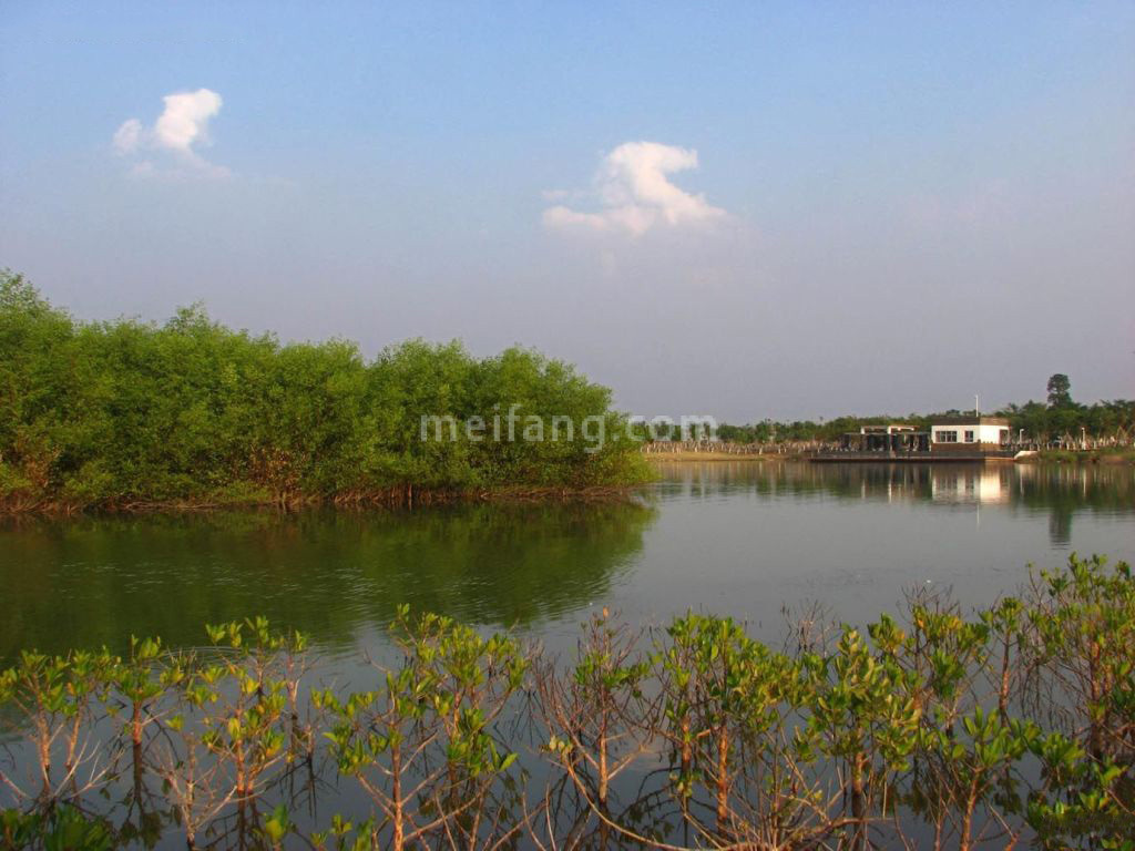 碧桂园云麓半山