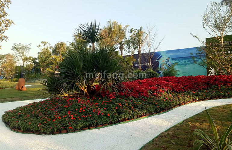 清凤黄金海岸实景图