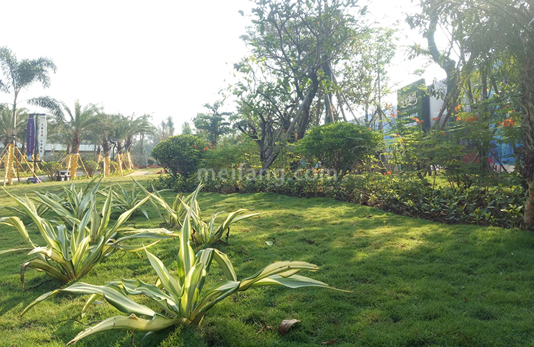 清凤黄金海岸实景图