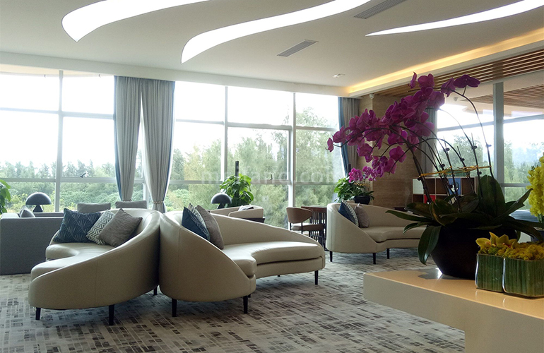 清凤黄金海岸实景图