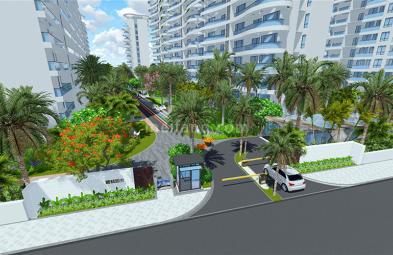 椰林阳光效果图