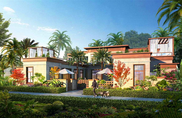 石梅半岛效果图