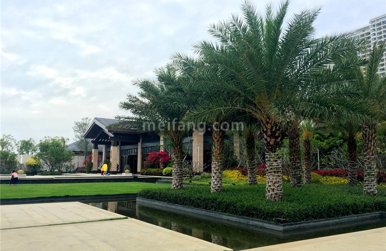 保利崖州湾实景图