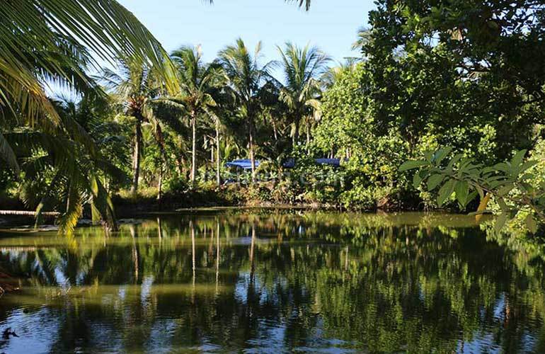 金尊文府海景东郊椰林