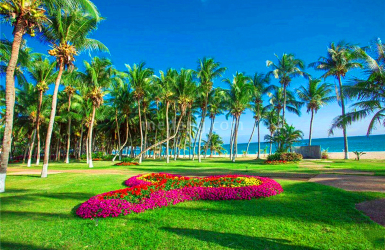 东和福湾实景图