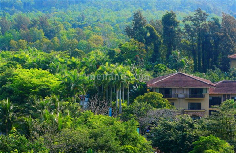 石梅山庄实景图