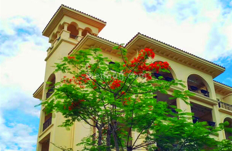 金泰南燕湾实景图