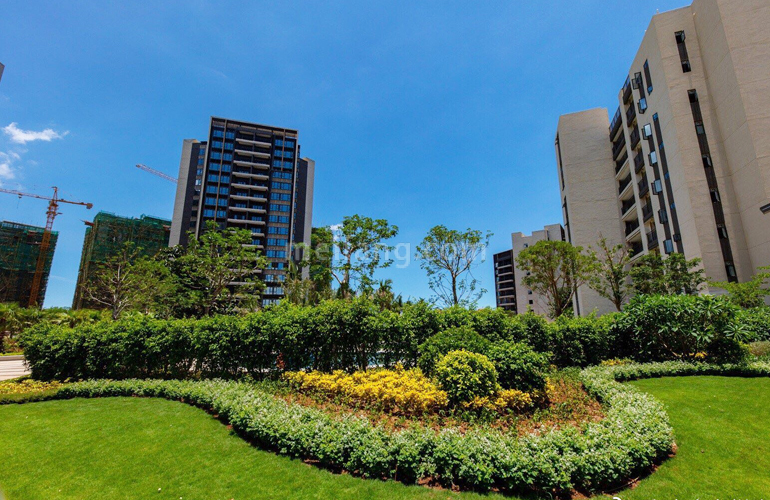 富力悦海湾实景图