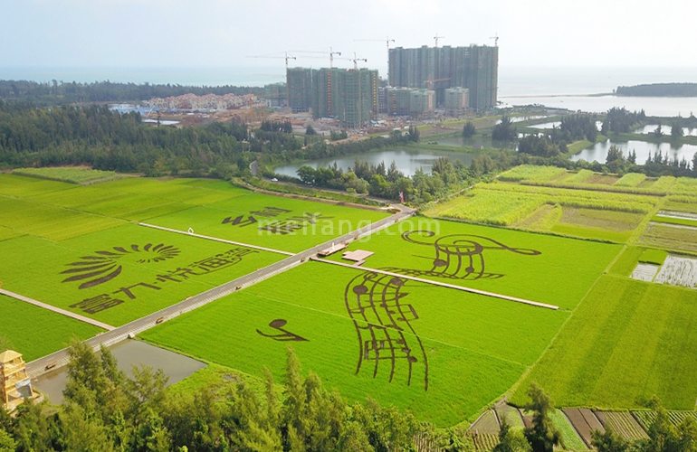 富力悦海湾实景图