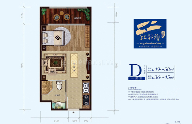 D户型 1室1厅1卫1厨 建面49㎡