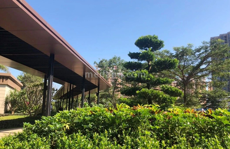 新合鑫观悦城实景图