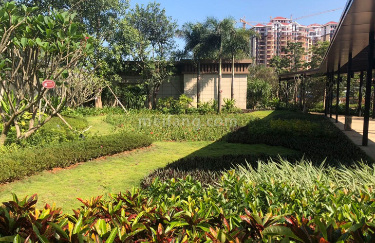 新合鑫观悦城实景图