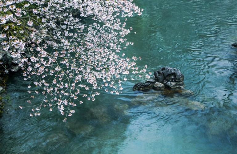 和泓海棠府实景图