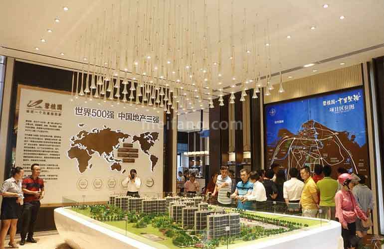 碧桂园十里繁花实景图