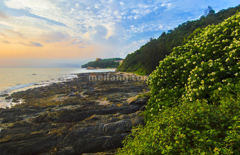 彰泰海棠湾海边