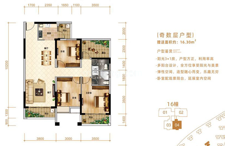 北部湾国际海湾城南A4奇数层户型 3室2厅2卫1厨 建面115.53㎡