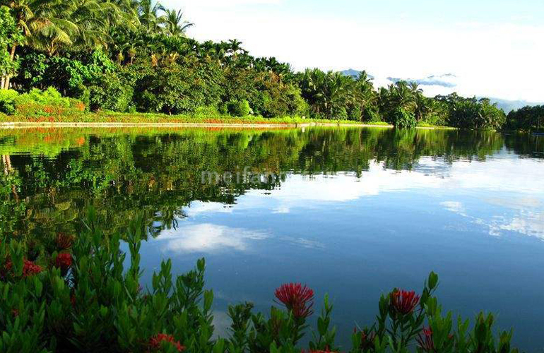 宝安兴隆椰林湾实景图