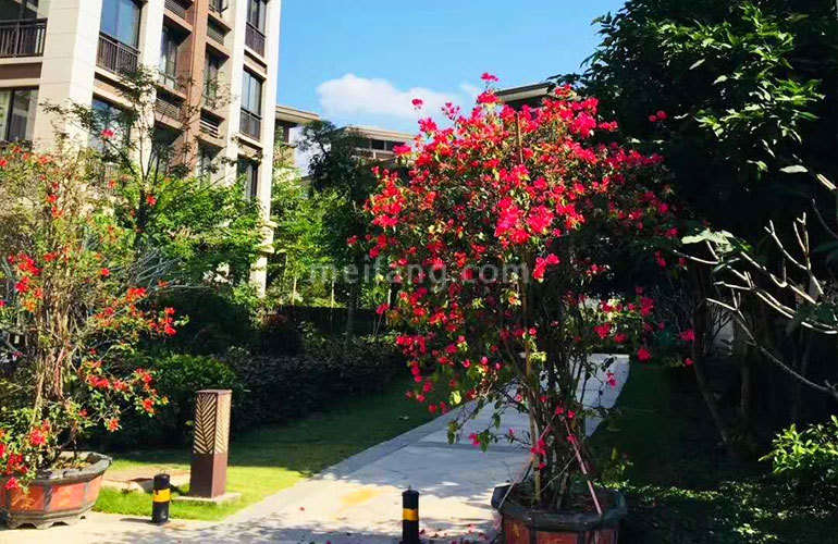 秘密花园（绿中海）实景图