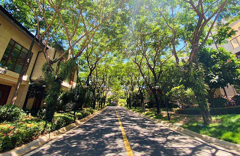 秘密花园（绿中海）实景图