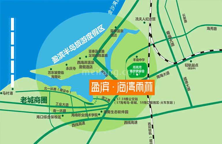 海湾雨林