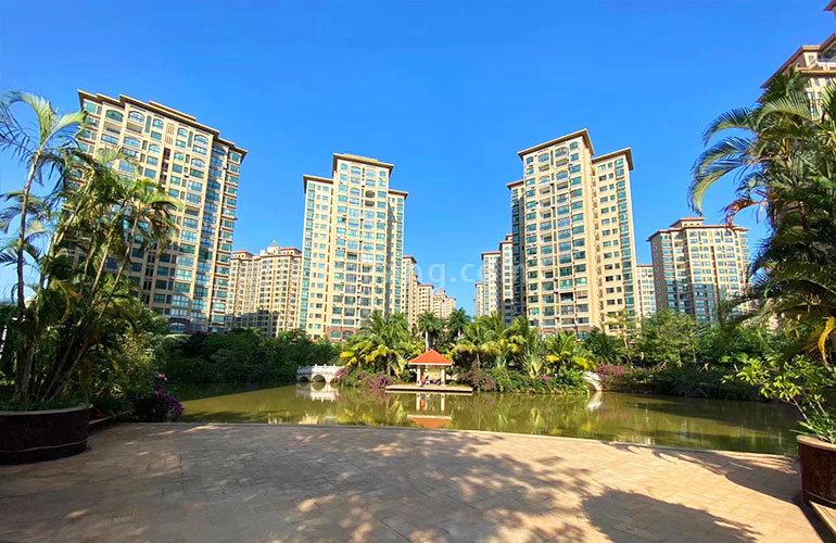 海湾雨林实景图 海湾雨林实景图