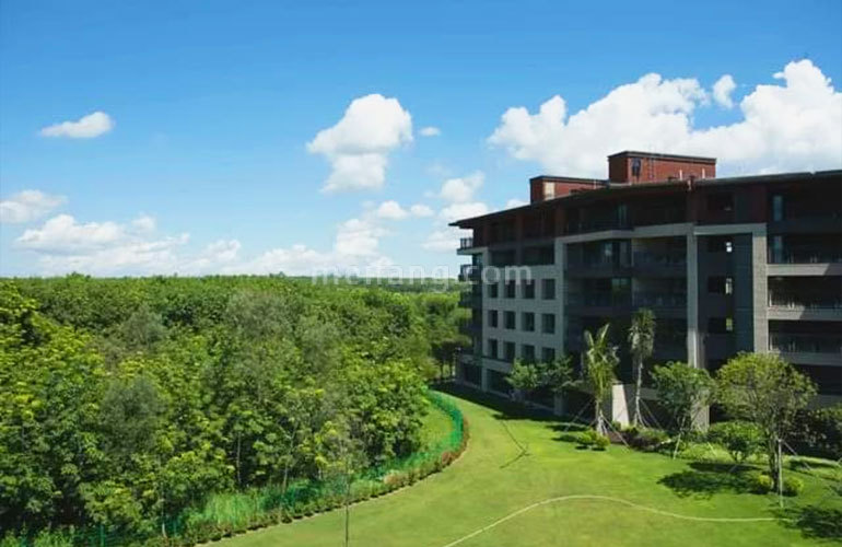 景业白鹭洲实景图