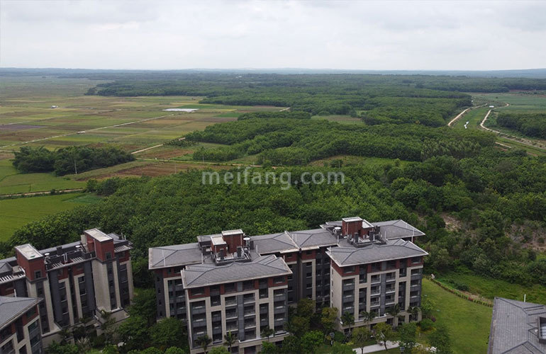 景业白鹭洲实景图